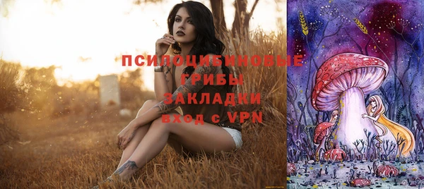 мдма Богородицк
