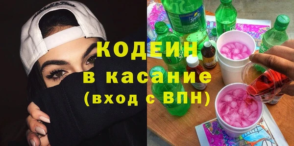 индика Белокуриха