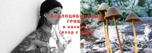 мдма Богородицк